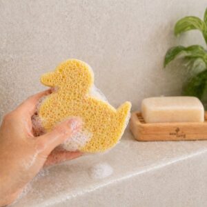 Compostable Duck Sponge