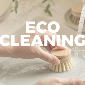 Plastic Free Cleaning